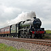 Stanier LMS class 6P Jubilee 45699 GALATEA running as 45562 ALBERTA at Seamer Carr Farm with 1Z24 07:40 Carnforth - Scarborough The Scarborough Spa Express 27th May 2021. (steam from York )
