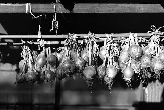 Onion dried under the eaves