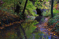 Herbst am Bach - Autumn  at the brook