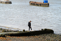 IMG 8994-001-On the Foreshore 1
