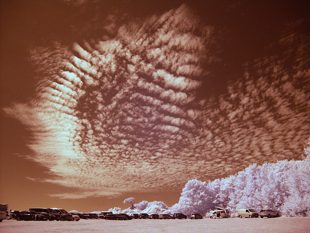 Mackerel sky