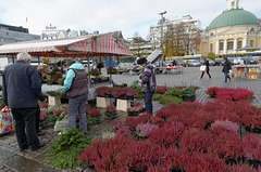 Place du marché - Le fleuriste