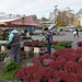 Place du marché - Le fleuriste