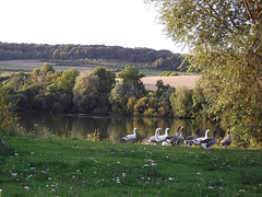 Aux étangs de Nesle-Normandeuse, Normandie, France