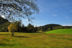 Blick ins Untere Seebachtal (© Buelipix)