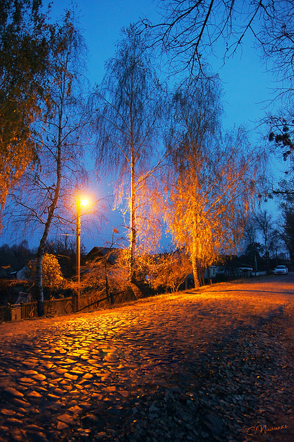 Вечір на сільській вуличці/ Village street in the evening