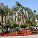 Israel, Eilat, Palm Grove and Flower Bed