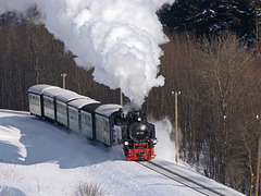 Zug der Fichtelbergbahn mit 99 794 auf dem Weg nach Oberwiesenthal
