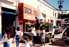 Bazar Pavel / bananes plantain pour tout le monde !