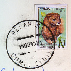 Belarus stamp and cancellation