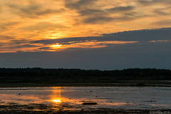 Sonnenuntergang im Naturschutzgebiet Liminganlahti (© Buelipix)