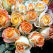 roses at Costco