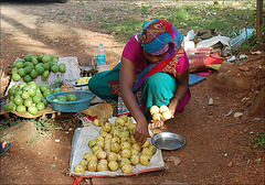 Guava vendor