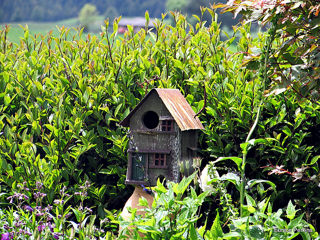 Birdhouse.