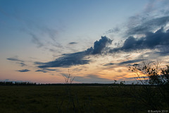Sonnenuntergang im Naturschutzgebiet Liminganlahti (© Buelipix)