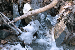 Ice in the Creek