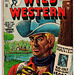 Wild Western 43