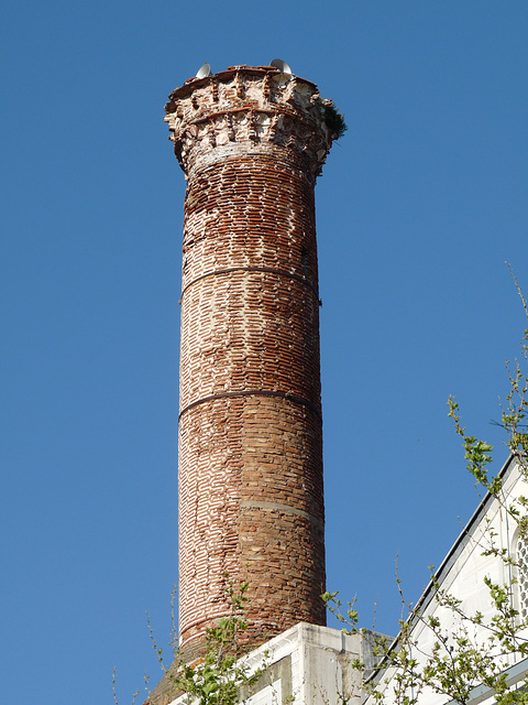 Selcuk- Minaret of Isabey Mosque