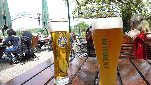 Biergarten am Rhein bei Speyer