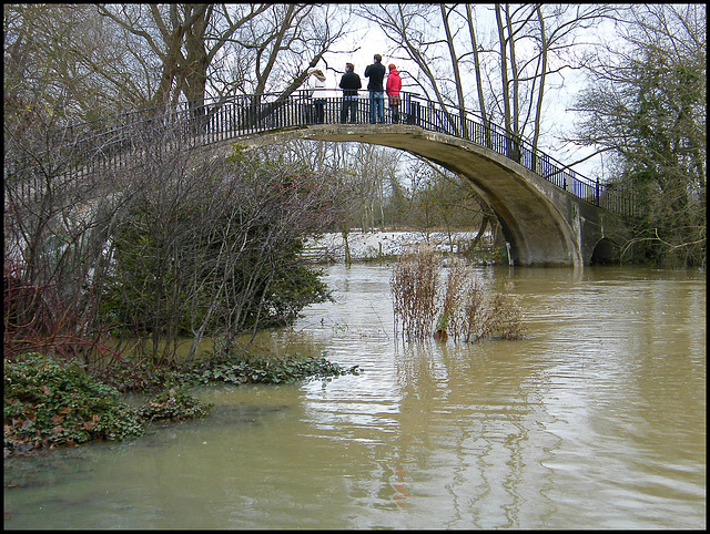 High Bridge in the flood