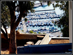 Sidi Bou Saïd - port de plaisance * Marina