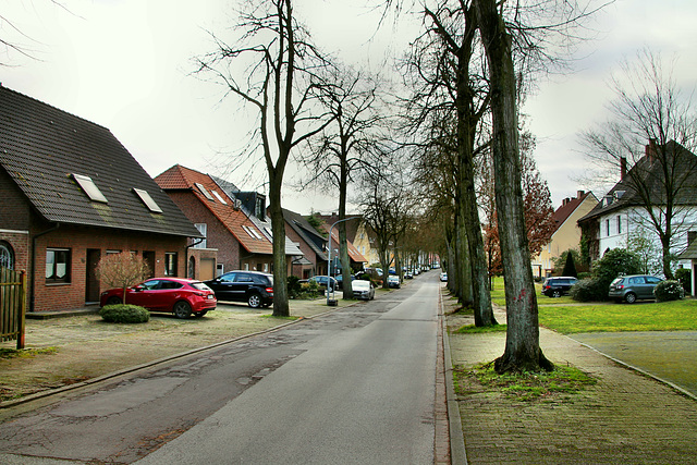 Trappenstraße (Bottrop-Eigen) / 15.02.2020