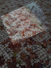 In one more rainy day, someone gave a fall on the Lisbon sidewalk