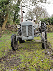 TED 20, 1951 Grey Ferguson Tractor