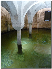Cripta allagata in San Francesco