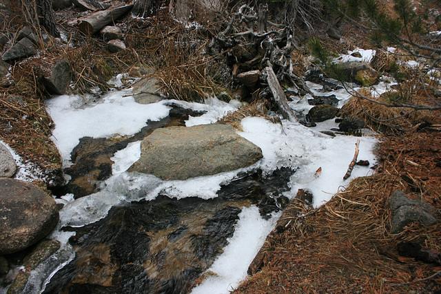 Cold Creek