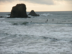 Rockaway Beach paddle surfers