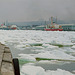 Ice and CCG ice breaker St. John's Harbour