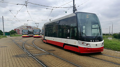 Prague 2019 – DPP Škoda 9388, 9369 and 9371 at the Sídliště Barrandov terminus