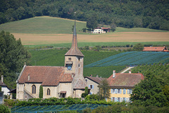 Reformierte Kirche Saint - Jean - Baptiste  Concise