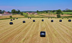 Bales in the fields