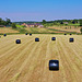 Bales in the fields