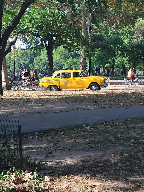 checker cab