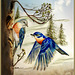 23-Bluebirds Pair. I drew these birds with Prismacolor pencils on Mylar.