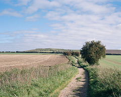 View along the Ridgeway
