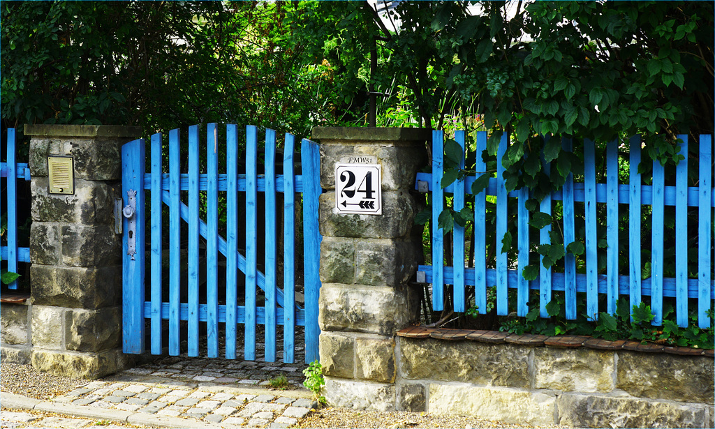 Blue Fence No. 24