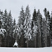 Буковель, Зимний лес