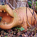 Terracotta-Hippo in our garden, 2014