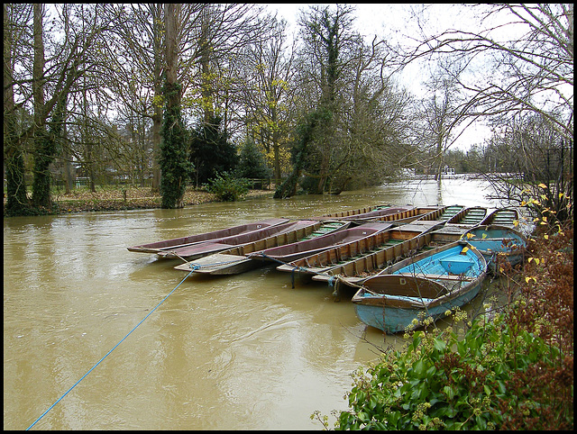 punts on the flooded Cherwell