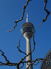 Düsseldorf – Blick auf Oben