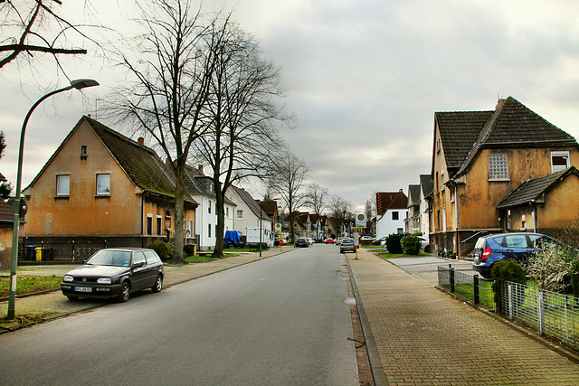 Fischedickstraße (Bottrop-Eigen) / 15.02.2020