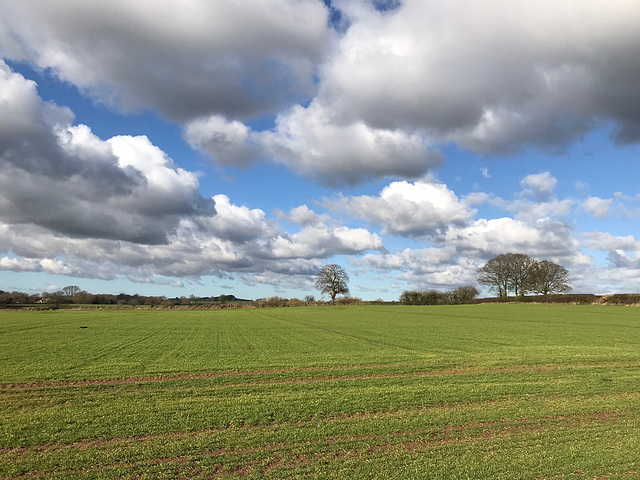 Clouds over Gnosall fields