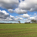 Clouds over Gnosall fields