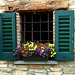 #15 Montevecchia -Window