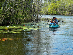 New River un paradiso in Belize