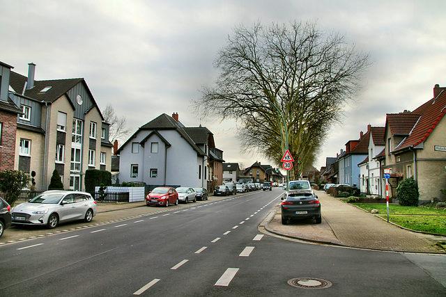 Scharnhölzstraße (Bottrop) / 15.02.2020